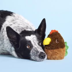Bark For Dog Rubber Hen Dog Toy 1 pk