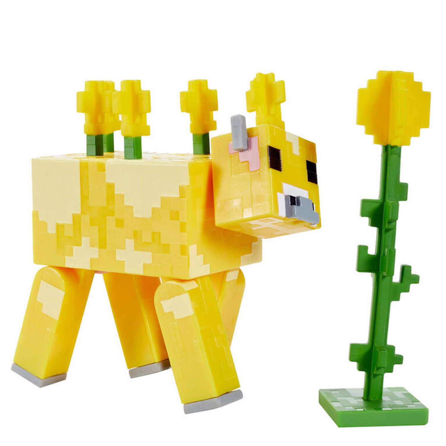 image-4