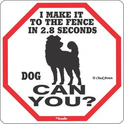Signs Up English White Novelty Sign 11 in. H X 11 in. W