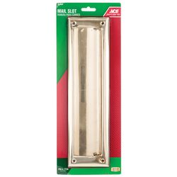 Ace 2.6875 in. W X 11 in. H Bright Brass Mail Slot
