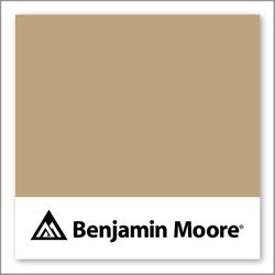 Benjamin Moore Spice Gold 1040