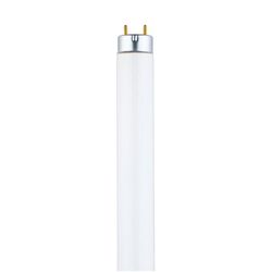 Westinghouse 32 W T8 1 in. D X 48 in. L Fluorescent Tube Light Bulb Cool White Linear 3500 K 1 pk