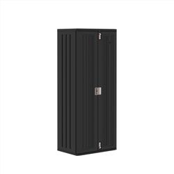 Suncast Cabinet 72 in. H X 30 in. W X 20.25 in. D Black Resin 2-Door Cabinet