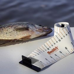 Smith's RegalRiver Folding Fish Ruler 48 in.