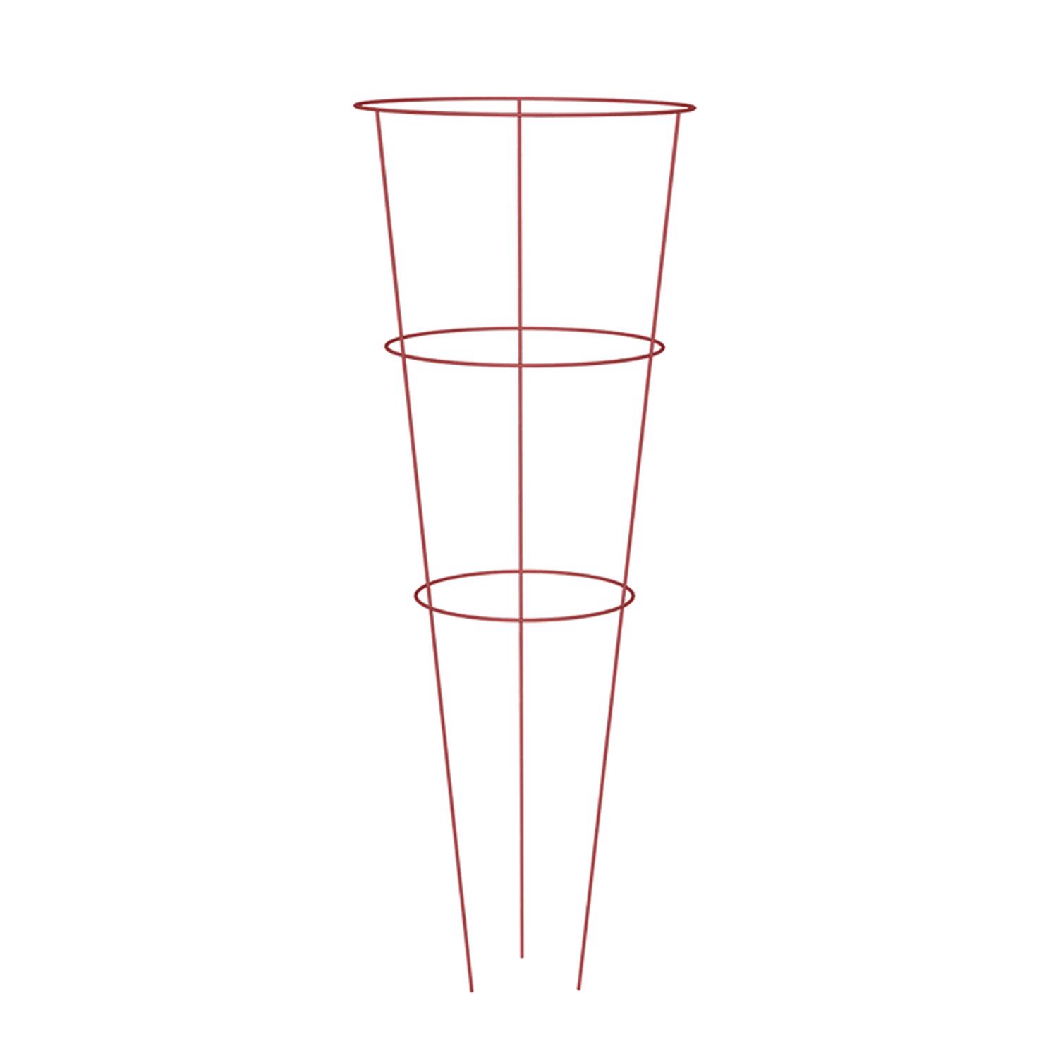 image-5