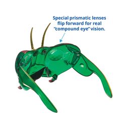 Insect Lore Mantis Buzzerks Bug Goggles Multicolored