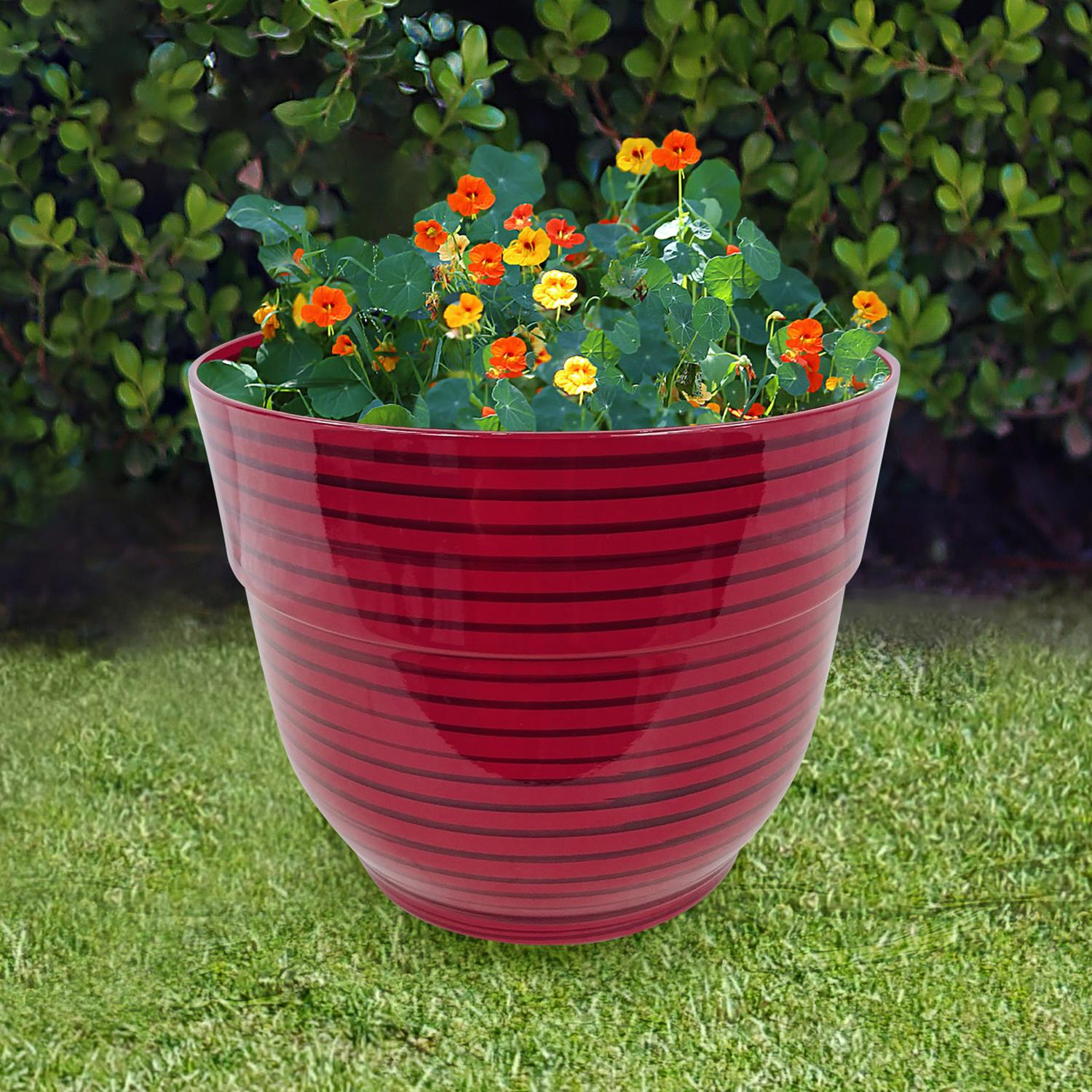 image-5