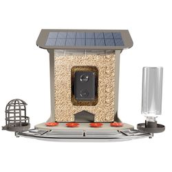Feit Bird Genius A.I. Wild Bird 2.5 L Plastic Solar Camera Smart-Enabled Bird Feeder 1 ports
