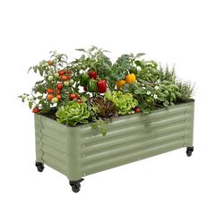 Vego Garden 48 in. H X 21 in. W Metal Garden Bed Olive Green