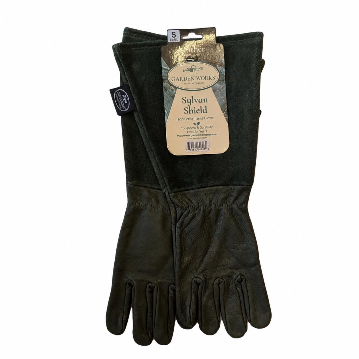 image-2