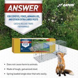 JT Eaton Answer Large Live Catch Animal Trap For Foxes 1 pk