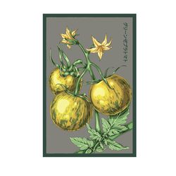 Chive Shido Seeds Tomato Seeds