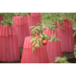 Bosmere 18 in. L X 15 in. W 2 pk Plant Protector