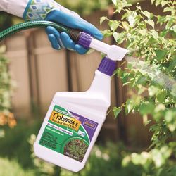 Bonide Weed Beater Plus Weed and Crabgrass Killer RTS Hose-End Concentrate 32 oz