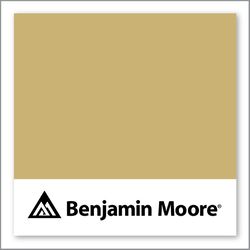Benjamin Moore Gemstone 265