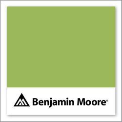 Benjamin Moore Blooming Grove 413