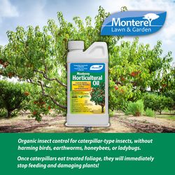 Monterey Horticultural Oil Organic Insect Killer Liquid Concentrate 1 pt