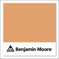 Benjamin Moore Soft Pumpkin 2166-40