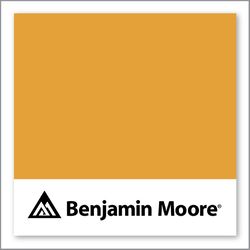 Benjamin Moore Golden Vista 308