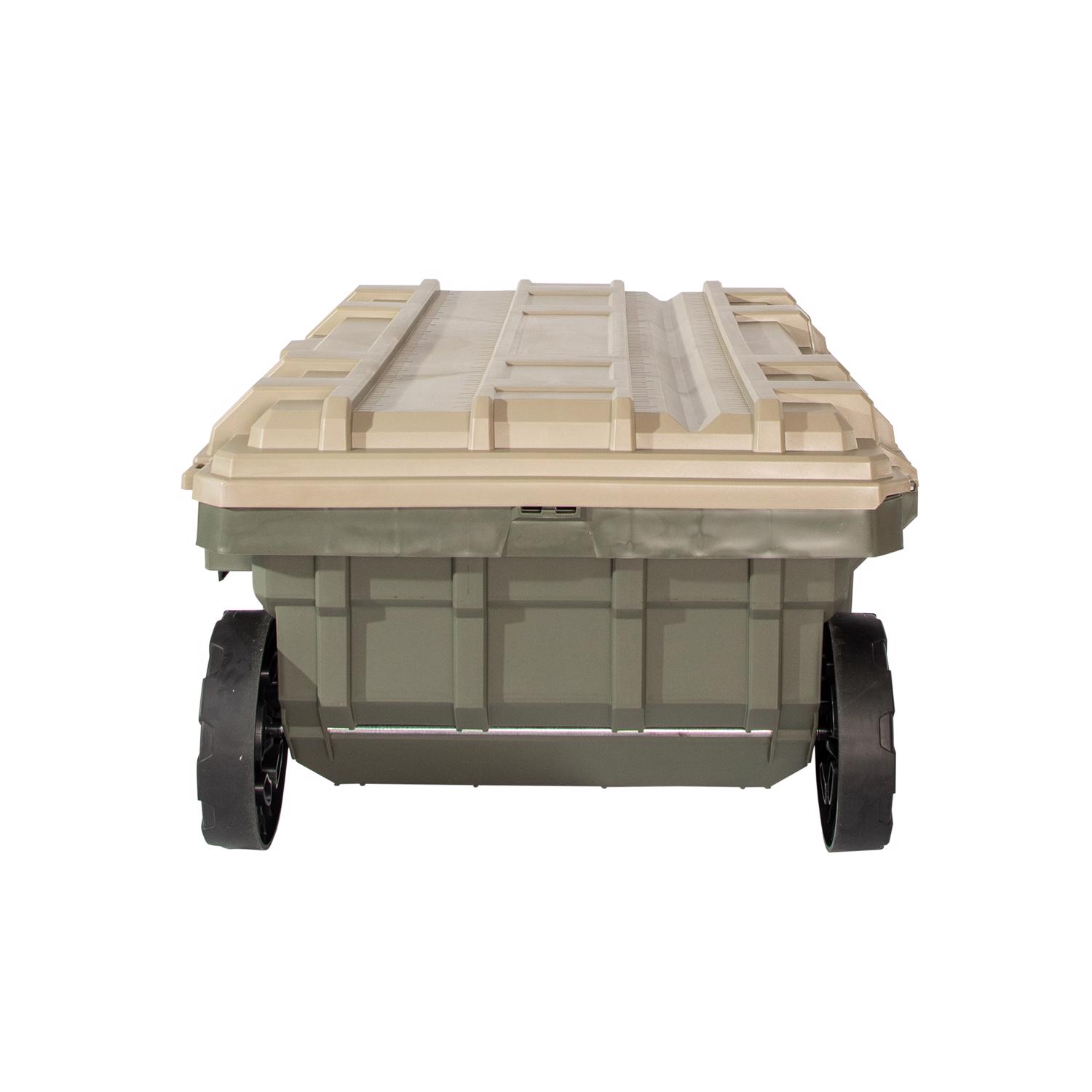 image-3