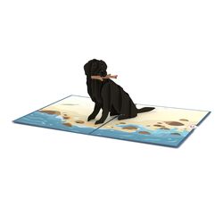 Lovepop Black Lab Pop-Up Greeting Card
