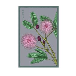 Chive Shido Seeds Houseplant Seeds