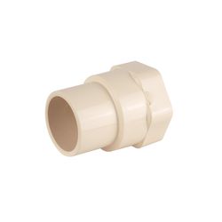 PlumbCraft Schedule 40 3/4 in. FPT each X 3/4 in. D Solvent Weld each CPVC Female Adapter