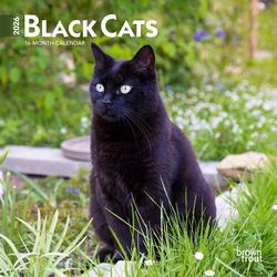 BrownTrout Publishers 2026 Mini .10 in. H X 7 in. L Multicolored Paper Black Cats Calendar