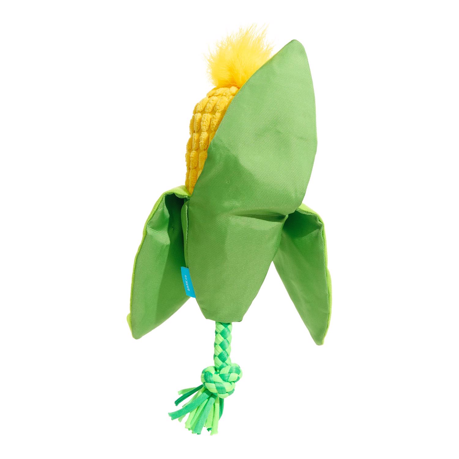 image-2