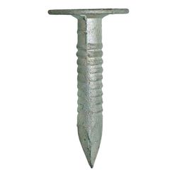 Grip-Rite 3/4 in. Roofing Hot-Dipped Galvanized Steel Nail Flat Head 1 lb
