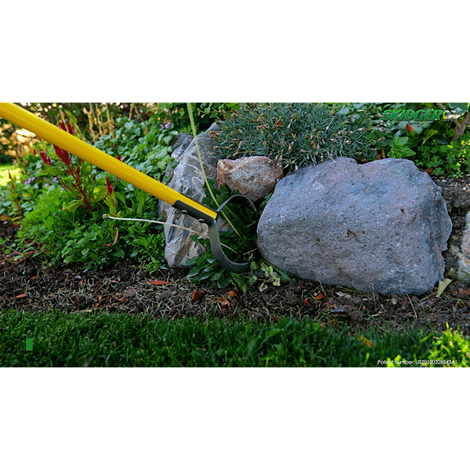 image-3