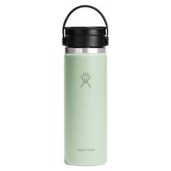 Hydroflask Sip 20 fl. oz. Aloe BPA Free Insulated Bottle