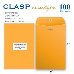 Bazic Products 9 in. W X 6 in. L Brown Statement Envelopes 100 pk