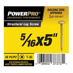 PowerPro 5/16 in. X 5 in. L Star Carbon Steel Lag Screw 36 pk