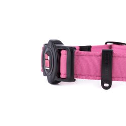 MyFamily Memopet Pink Adjustable Polyester Dog Collar Medium