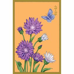 Chive Shido Seed Co. Immortelle Seeds 1 pk