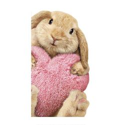 Avanti Press Greeting Cards