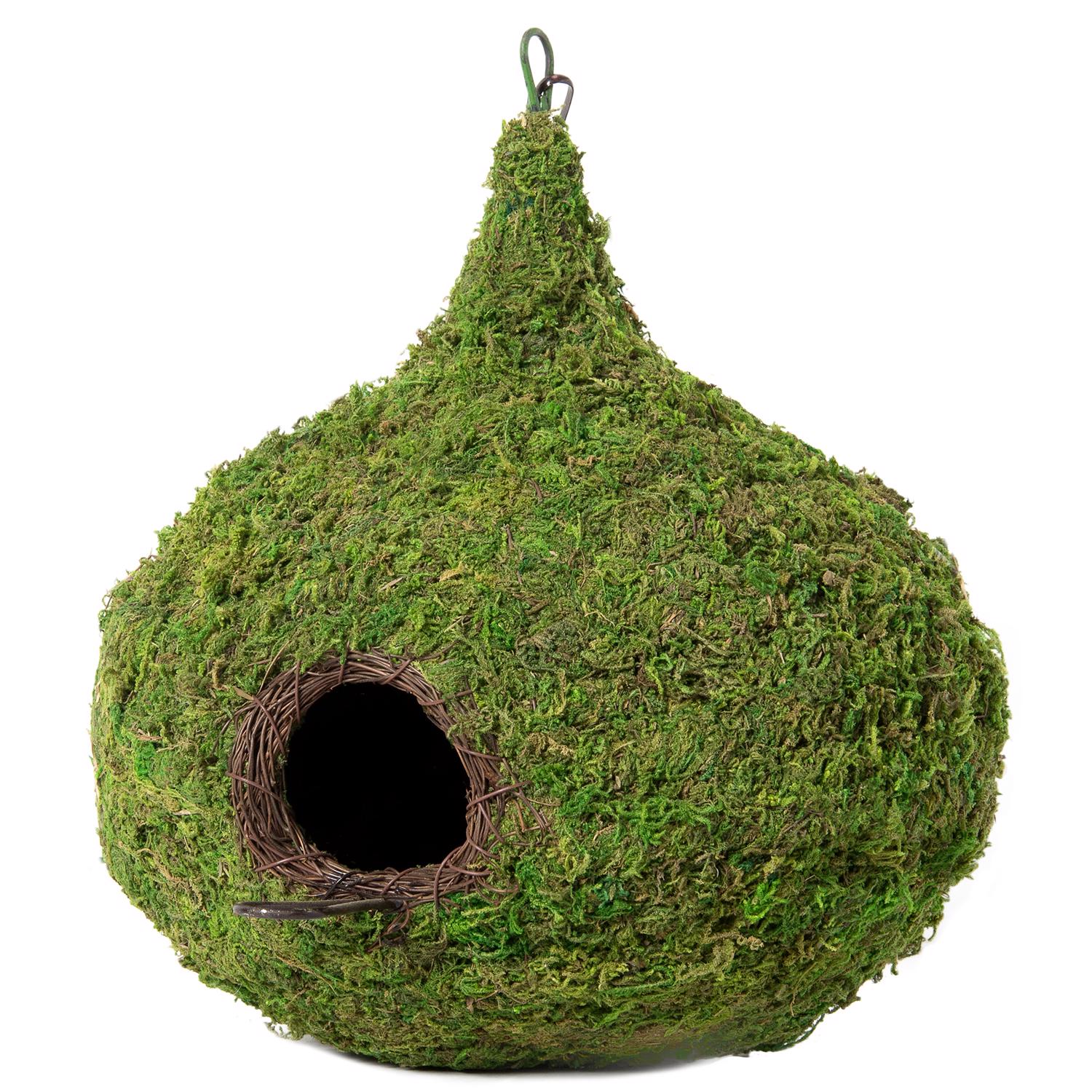 image-2
