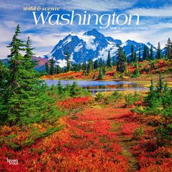 BrownTrout Publishers Wild & Scenic 2026 Square Flap .11 in. H X 12 in. L Multicolored Paper Washing