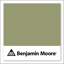 Benjamin Moore Misted Fern 482