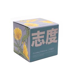 Chive Shido White Evening Primrose Scent Candle/Gift Box 8 oz