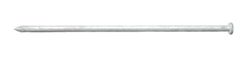 Ace 12 in. Spike Hot-Dipped Galvanized Steel Nail Diamond Head 5 lb