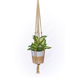 Primitive Planters Tan Macrame 36 in. H Plant Hanger 1 pk