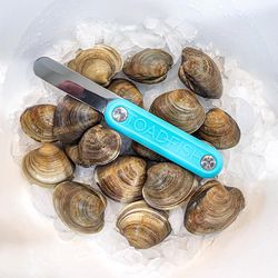 Toadfish Stainless Steel Clam/Oyster Clam/Oyster Knife 1 pc