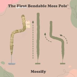 Mossify 30 in. H Natural Moss Pole