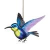 image-7