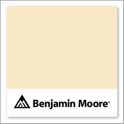 Benjamin Moore Aura 169