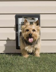 PetSafe 5 in. H X 7 in. W Small Aluminum Wall Entry Pet Door