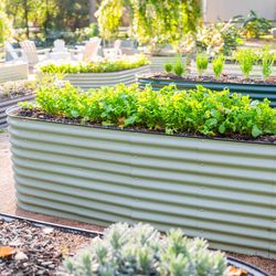 Vego Garden 32 in. H Metal 6 in 1 Raised Garden Bed Olive Green