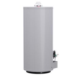 Reliance 30 gal 32000 BTU Natural Gas Water Heater